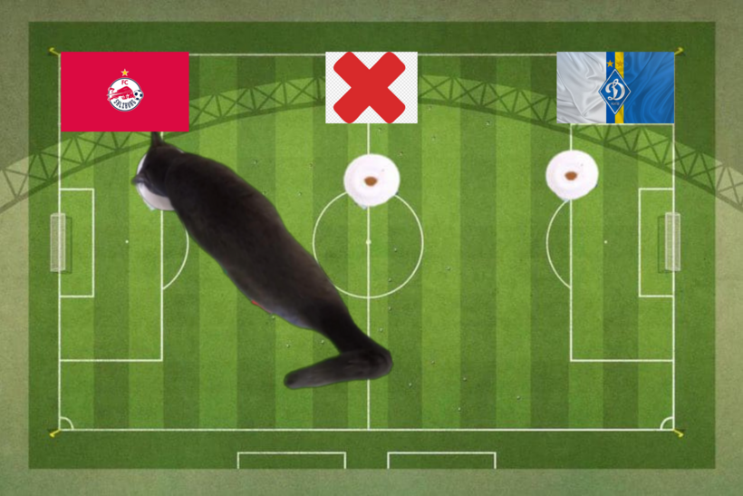 Lựa chọn của chú mèo tiên tri trước cặp đấu Salzburg vs Dinamo Kiev