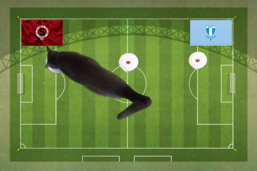 Lựa chọn của chú mèo tiên tri trước cặp đấu Sparta Praha vs Malmo