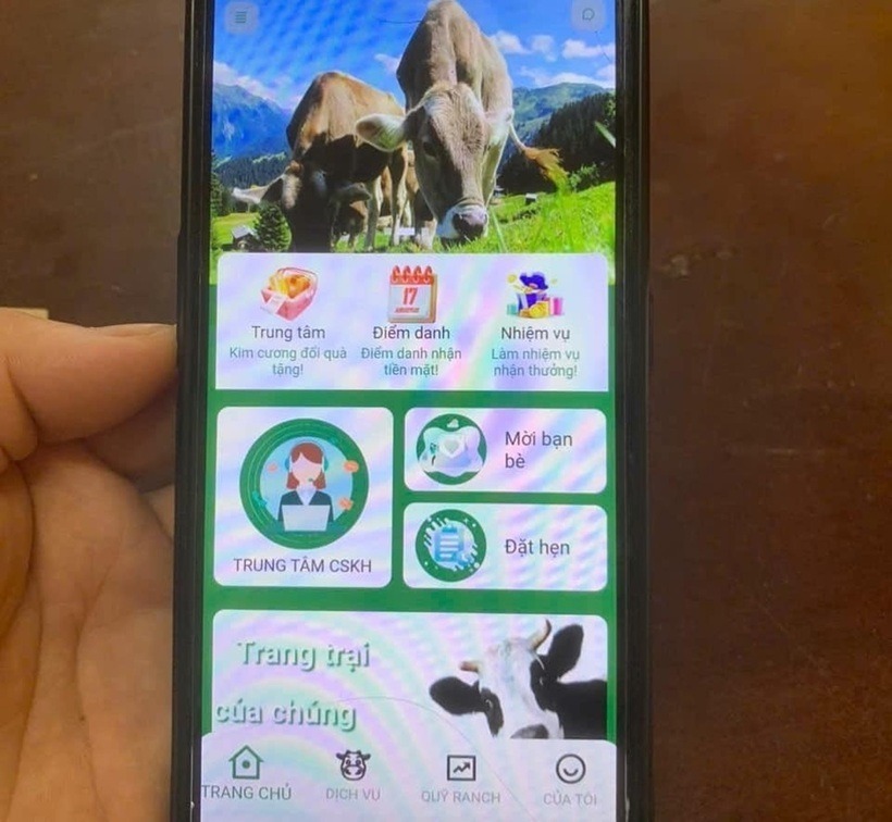 App "Nuôi bò" khiến một người phụ nữ ở Hà Tĩnh suýt bị lừa mất 300 triệu đồng. Ảnh: Công an Hà Tĩnh