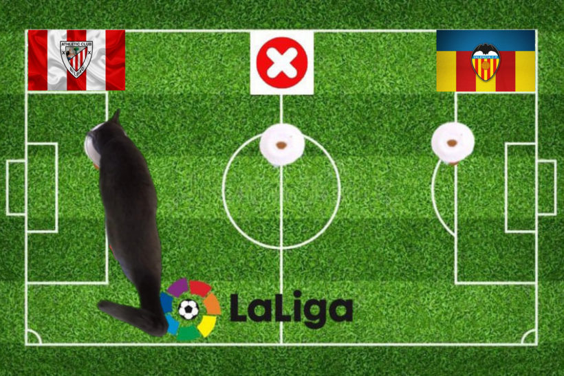 Lựa chọn của chú mèo tiên tri trước cặp đấu Bilbao vs Valencia