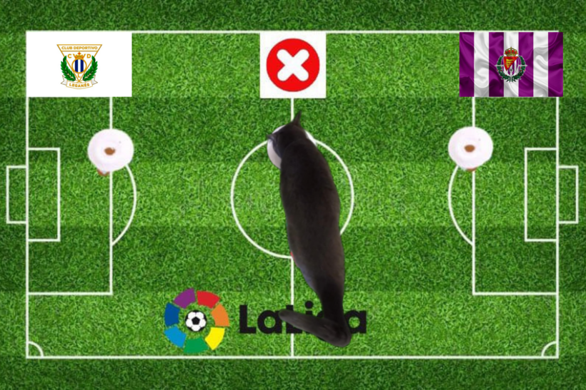 Lựa chọn của chú mèo tiên tri trước cặp đấu Valladolid vs Leganes