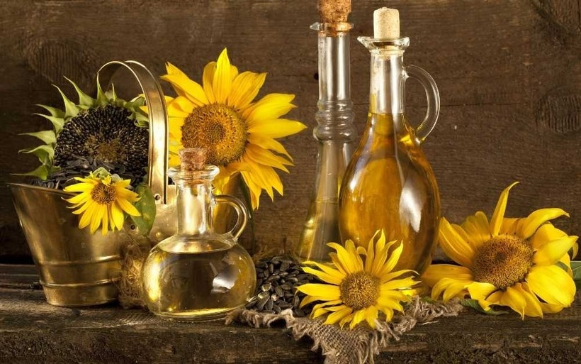 Dầu hướng dương có thể giúp tăng cường khả năng bảo vệ da khỏi tác hại của tia UV nhờ chứa hàm lượng cao vitamin E.