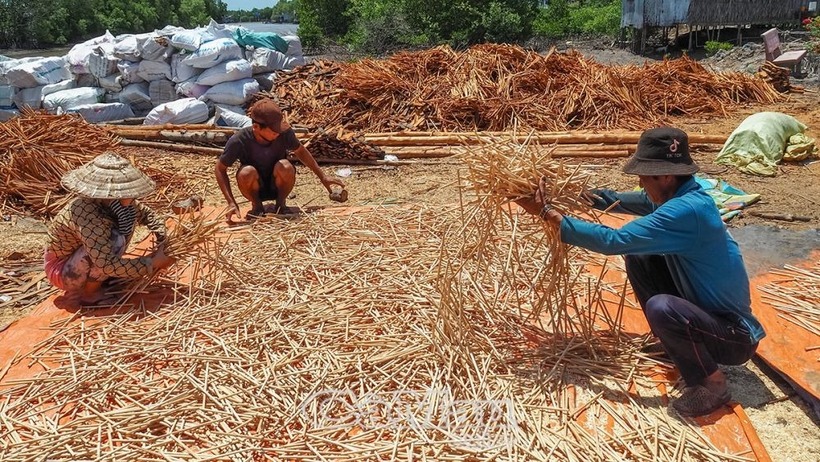 Một trong những công đoạn trong việc làm đũa đước của anh Đại. Ảnh: Báo Cà Mau
