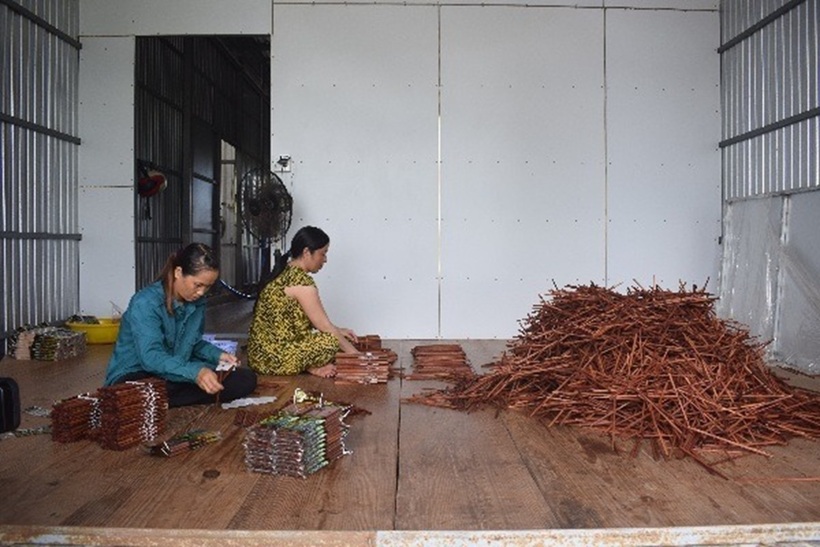 Công nhân đóng gói tại cơ sở sản xuất đũa đước của anh Huỳnh Thanh Phong. Ảnh: Cổng thông tin điện tử huyện Năm Căn