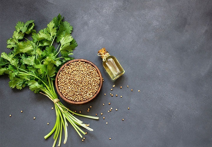 Rau mùi là nơi chứa nhiều loại vitamin và khoáng chất thiết yếu, bao gồm vitamin A, B, C, E, K, canxi, kali, magie và phốt pho.