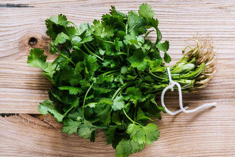 Hạt rau mùi có thể hữu ích trong việc làm giảm các triệu chứng nhiễm trùng đường tiết niệu bằng cách chống lại vi khuẩn gây nhiễm trùng tiểu ngay từ đầu.