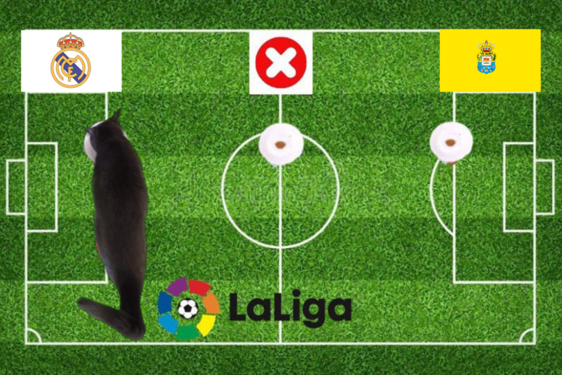 Lựa chọn của chú mèo tiên tri trước cặp đấu Las Palmas vs Real Madrid