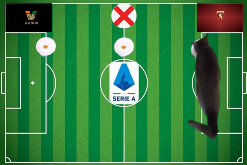 Lựa chọn của chú mèo tiên tri trước cặp đấu Venezia vs Torino