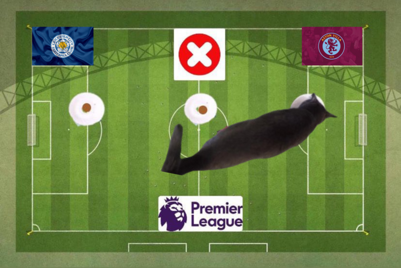 Lựa chọn của chú mèo tiên tri trước cặp đấu Leicester vs Aston Villa