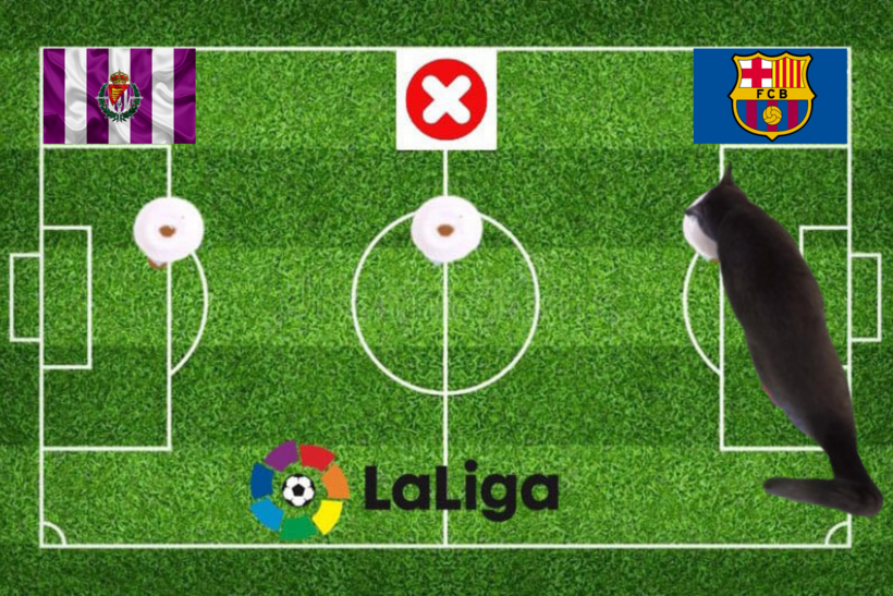 Lựa chọn của chú mèo tiên tri trước cặp đấu Barca vs Valladolid