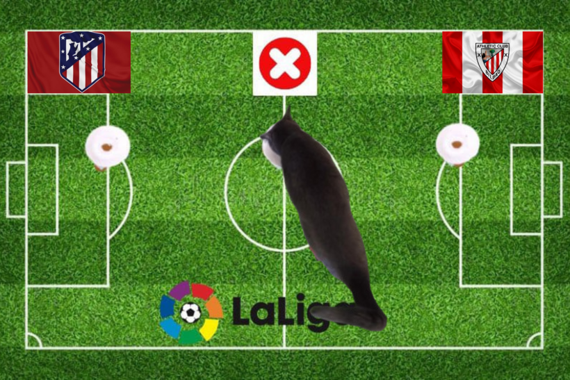 Lựa chọn của chú mèo tiên tri trước trận đấu Bilbao vs Atletico Madrid