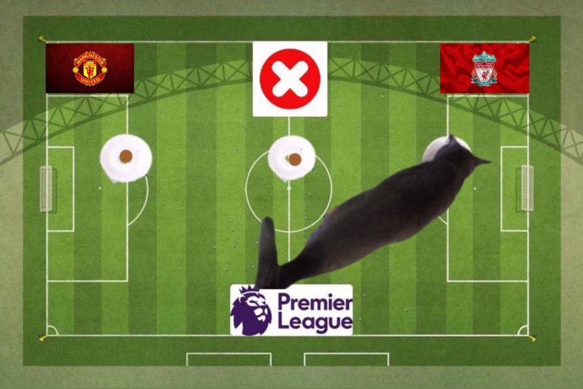 Mèo tiên tri đưa ra dự đoán về trận đấu MU vs Liverpool