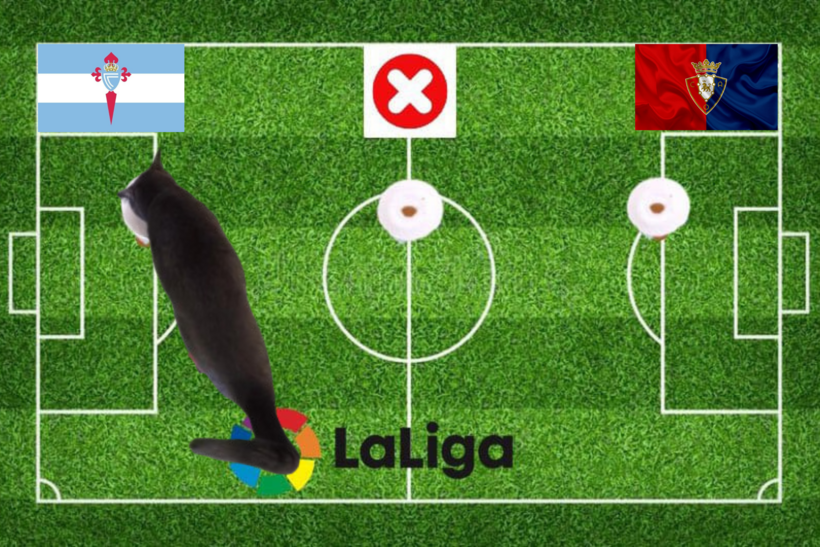 Lựa chọn của chú mèo tiên tri trước cặp đấu Osasuna vs Celta Vigo