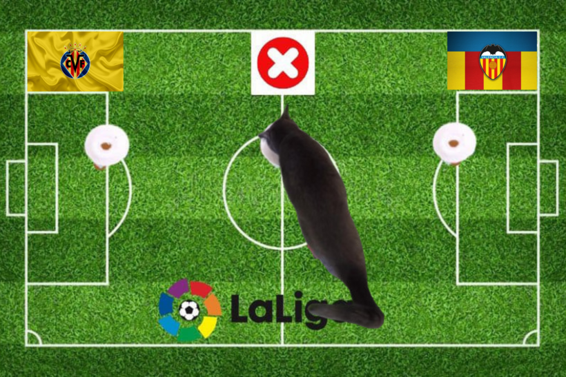 Lựa chọn của chú mèo tiên tri trước trận đấu Valencia vs Villarreal