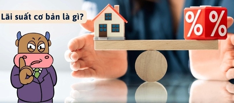 Nhiều người chưa hiểu rõ lãi suất cơ bản của ngân hàng nhà nước là gì?