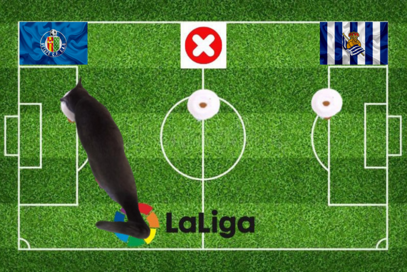 Lựa chọn của chú mèo tiên tri trước trận đấu Getafe vs Sociedad
