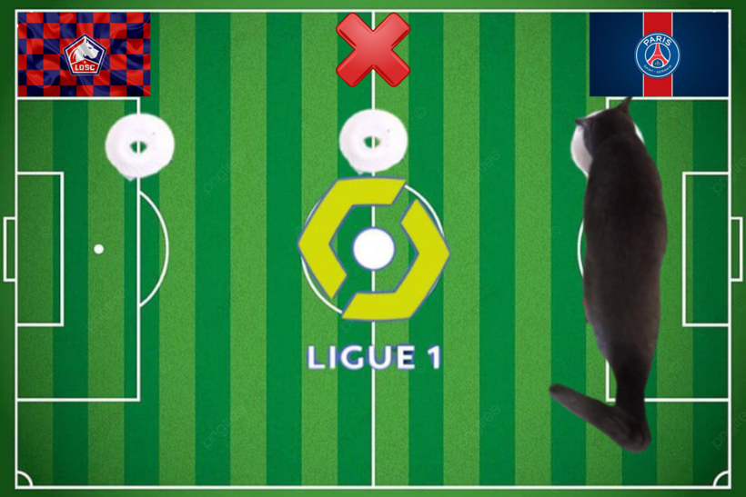 Mèo tiên tri dự đoán trước trận đấu Lille vs PSG