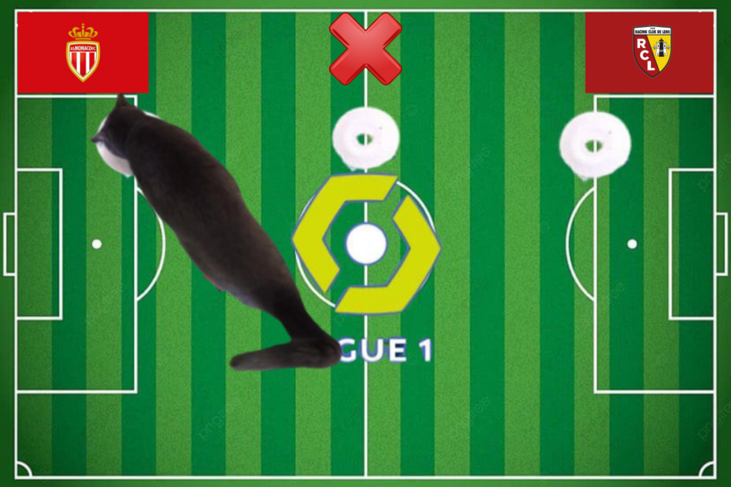 Lựa chọn của chú mèo tiên tri trước cặp đấu Monaco vs Lens