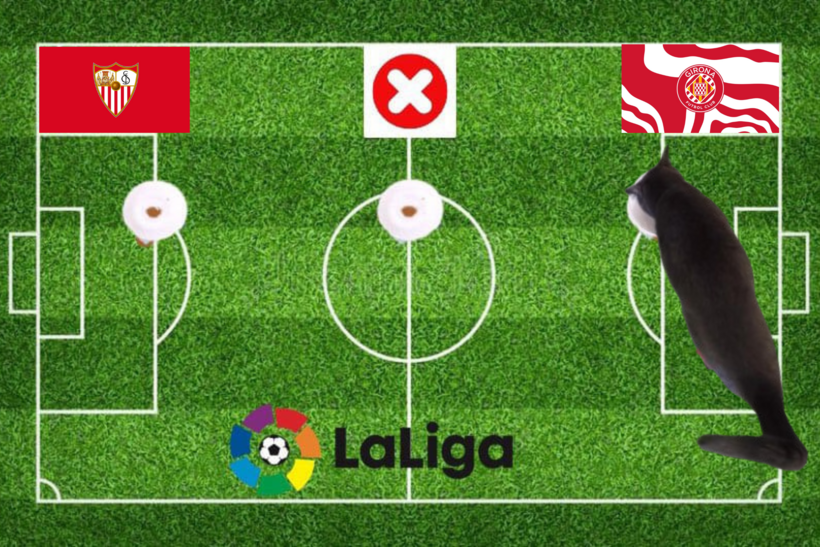 Lựa chọn của chú mèo tiên tri trước cặp đấu Sevilla vs Girona