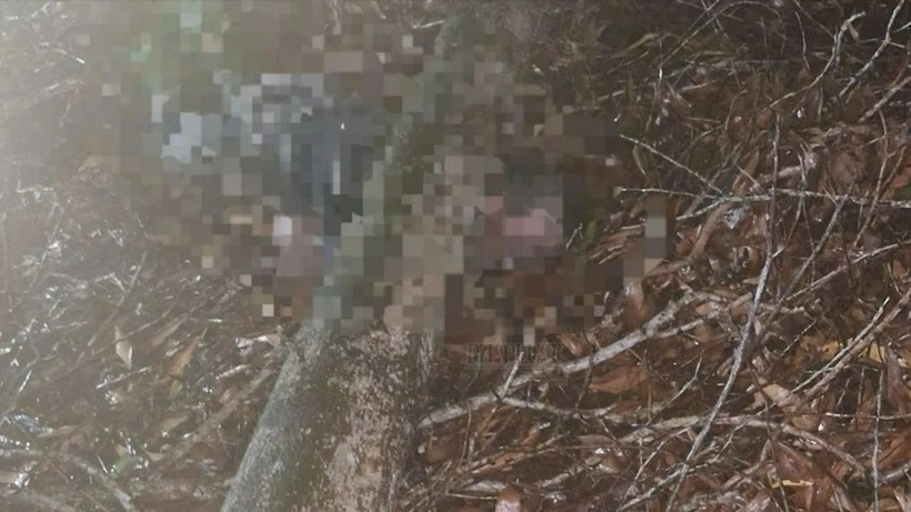 Người nhà tìm thấy người đàn ông bị gỗ đè và đã tử vong. Ảnh: Pháp luật TP.HCM