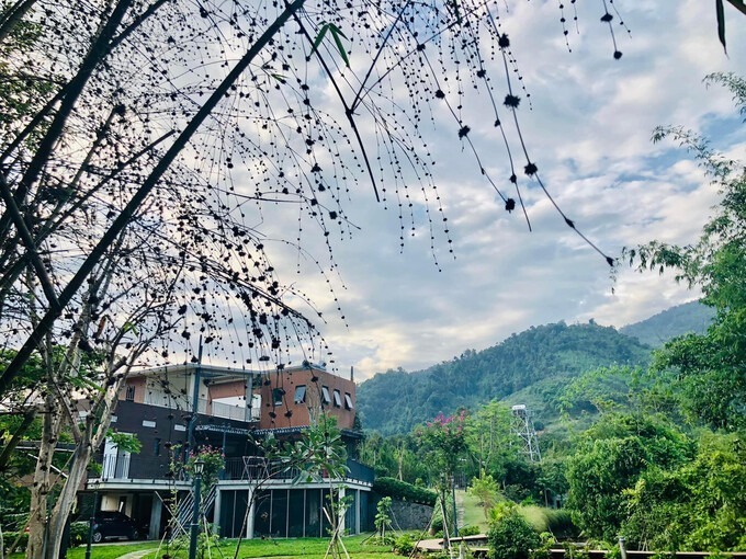 Thỉnh thoảng, cặp vợ chồng trẻ cũng tiếp đón bạn bè, người thân từ thành phố lên đồi, trải nghiệm nghỉ dưỡng trong không gian nhà vườn đẹp, sang trọng chẳng kém resort cao cấp. Mỗi dịp như vậy, vợ chồng anh Tôm và mọi người lại tổ chức tiệc nướng ngoài trời, cùng nhau đi dạo, câu cá hay đơn thuần chỉ ngắm cảnh, hít khí trời,...