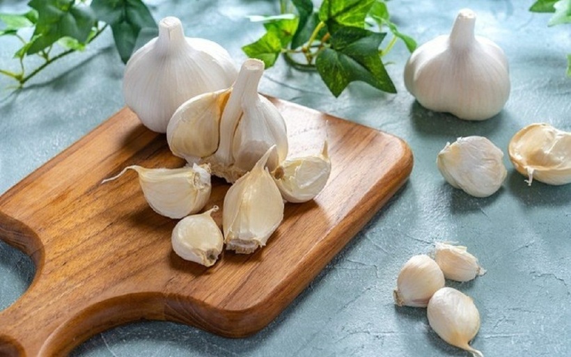 Tỏi có thể tương tác với một số loại thuốc, làm giảm hoặc tăng tác dụng của thuốc.