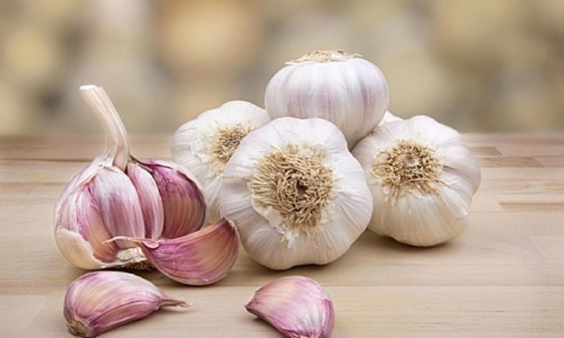 Tỏi là một loại gia vị tuyệt vời với nhiều lợi ích sức khỏe tiềm năng. Tuy nhiên, không phải ai cũng có thể tiêu thụ tỏi một cách an toàn và không gặp phải tác dụng phụ.