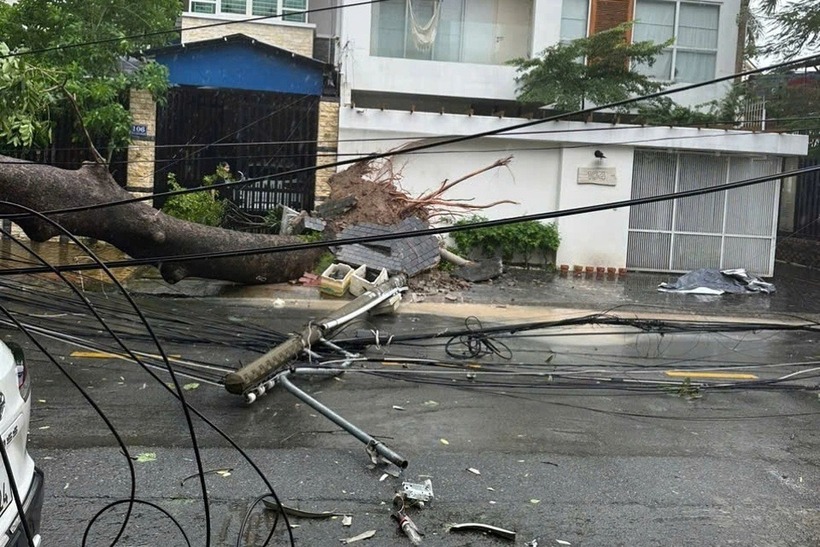 Cây xanh bật gốc kéo theo trụ điện, đè trúng nhà dân và ô tô trong khu tái định cư Chánh Nghĩa.