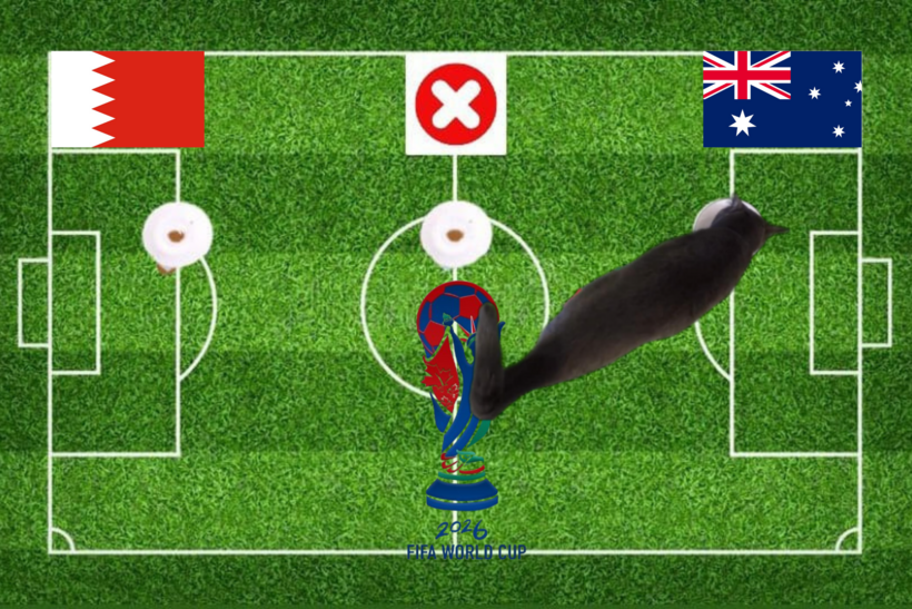 Lựa chọn của chú mèo tiên tri trước trận đấu Australia vs Bahrain