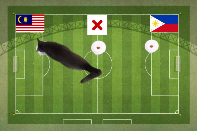 Lựa chọn của chú mèo tiên tri trước trận đấu giao hữu giữa Philippines và Malaysia