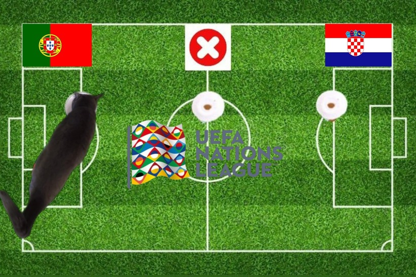 Lựa chọn của chú mèo tiên tri trước trận đấu Bồ Đào Nha vs Croatia