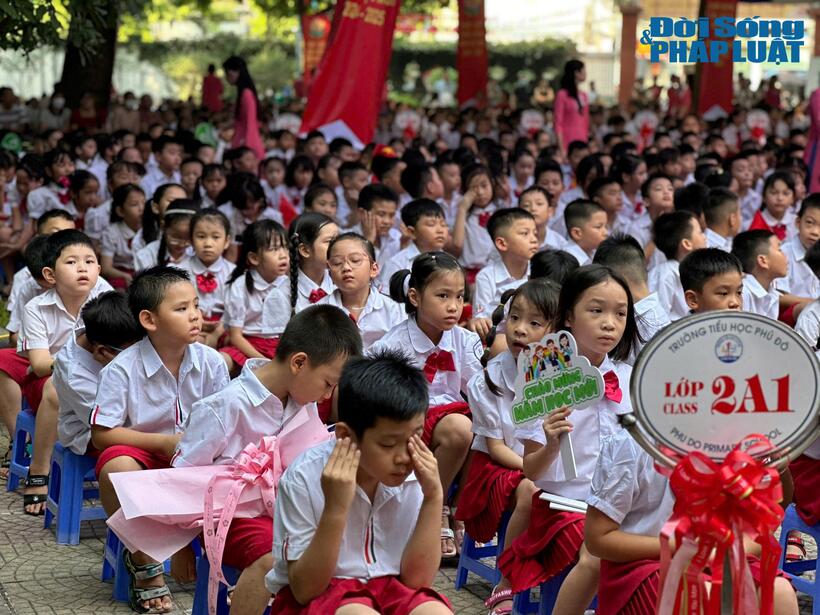 Năm học 2024 – 2025, trường tiểu học Phú Đô có 401 các em học sinh lớp 1.
