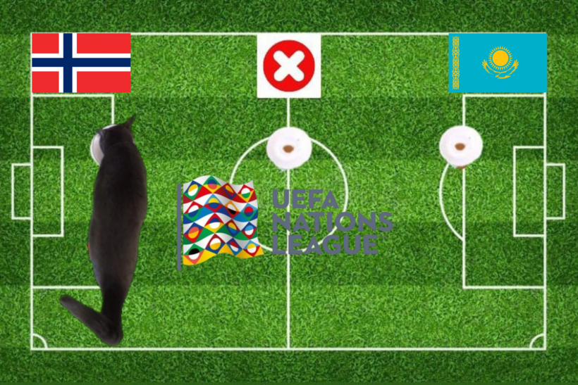 Lựa chọn của chú mèo tiên tri về cặp đấu Kazakhstan vs Na Uy
