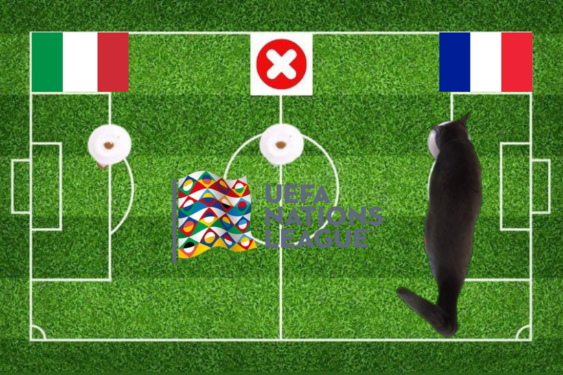 Lựa chọn của chú mèo tiên tri trước trận đấu Pháp vs Italia
