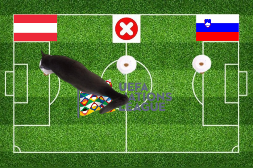 Lựa chọn của chú mèo tiên tri trước trận đấu Slovenia vs Áo