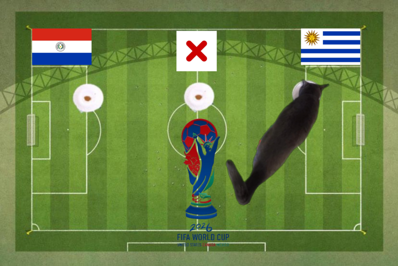 Lựa chọn của chú mèo tiên tri trước cặp đấu Uruguay vs Paraguay
