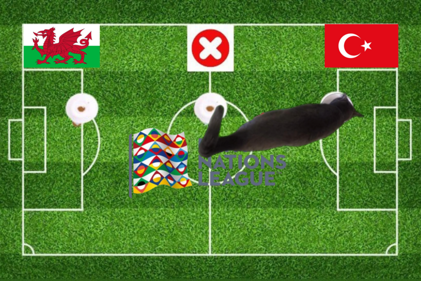 Dự đoán của chú mèo tiên tri trước cặp đấu Wales vs Thổ Nhĩ Kỳ