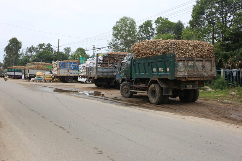 Nhà máy tinh bột sắn Quảng Nam. (Ảnh: VietnamNet)