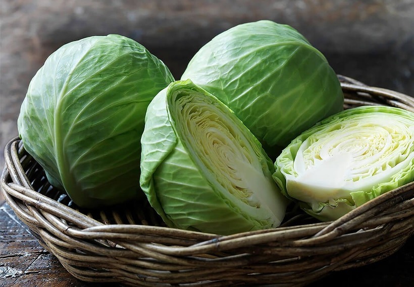 Bắp cải là nguồn cung cấp vitamin và khoáng chất dồi dào.