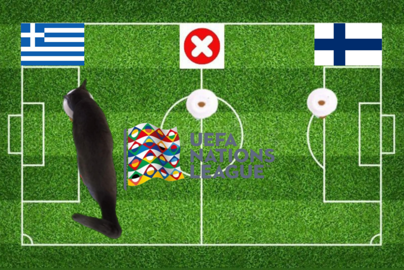Lựa chọn của chú mèo tiên tri trước trận đấu Hy Lạp vs Phần Lan
