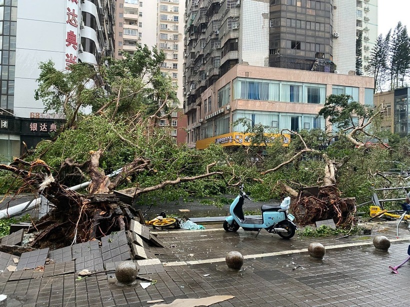 Nhiều cây lớn bật gốc, chắn ngang đường tại thành phố Hải Khẩu, Hải Nam, Trung Quốc do bão Yagi. Ảnh: X