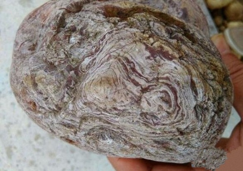 Đường vân trên viên đá quý.