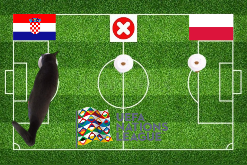 Lựa chọn của chú mèo tiên tri trước trận đấu Croatia vs Ba Lan