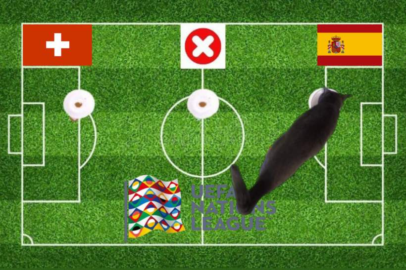 Lựa chọn của chú mèo tiên tri trước trận đấu Thụy Sĩ vs Tây Ban Nha