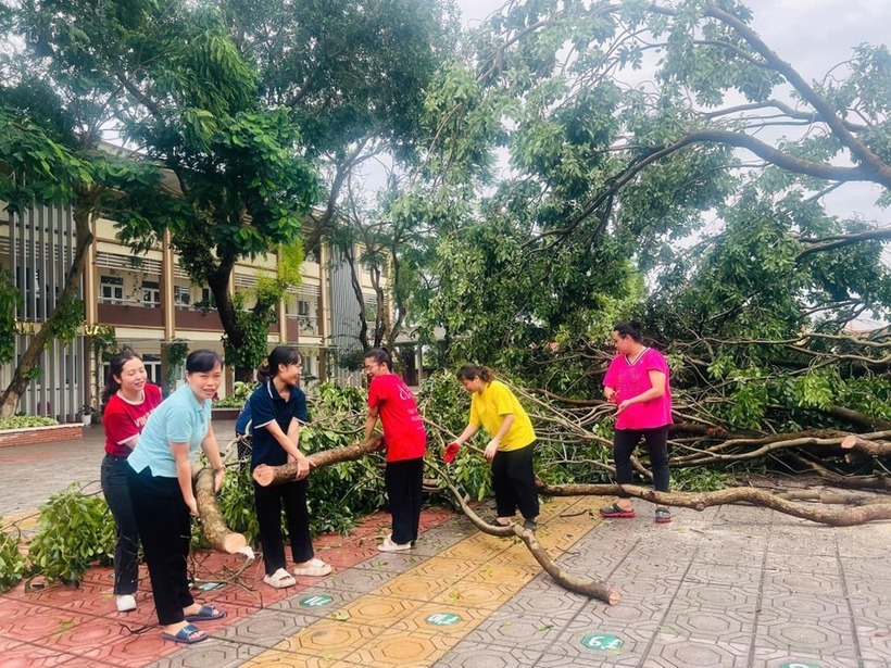 Giáo viên, nhân viên Trường THCS Lĩnh Nam (quận Hoàng Mai) dọn dẹp cây gãy đổ, vệ sinh môi trường. Ảnh: Giáo dục & Thời đại