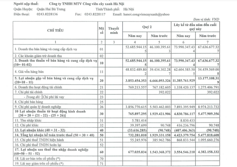 Kết thúc nửa đầu năm 2024, Công ty TNHH MTV Công viên cây xanh Hà Nội báo lãi sau thuế hơn 3,5 tỷ đồng, giảm 18,6% so với cùng kỳ. Ảnh chụp màn hình.