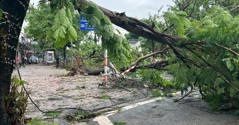 Thiệt hại nặng nề sau cơn bão số 3.