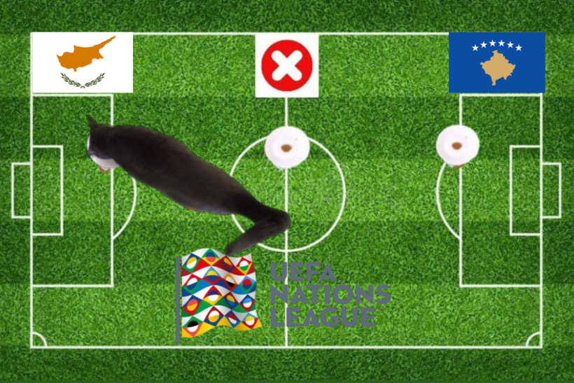 Lựa chọn của chú mèo tiên tri trước trận Cyprus vs Kosovo