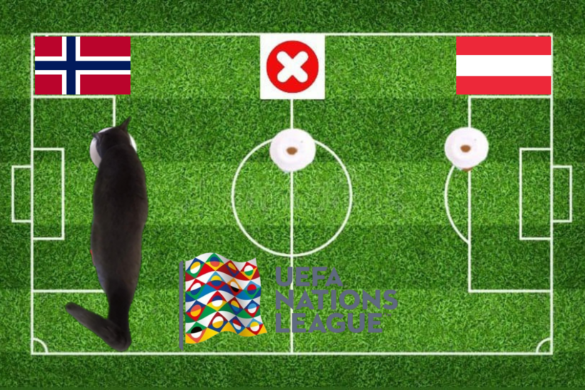 Lựa chọn của chú mèo tiên tri trước trận Na Uy vs Áo