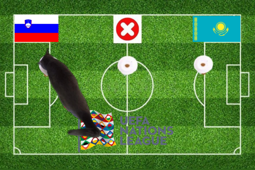 Lựa chọn của chú mèo tiên tri trước trận đấu Slovenia vs Kazakhstan